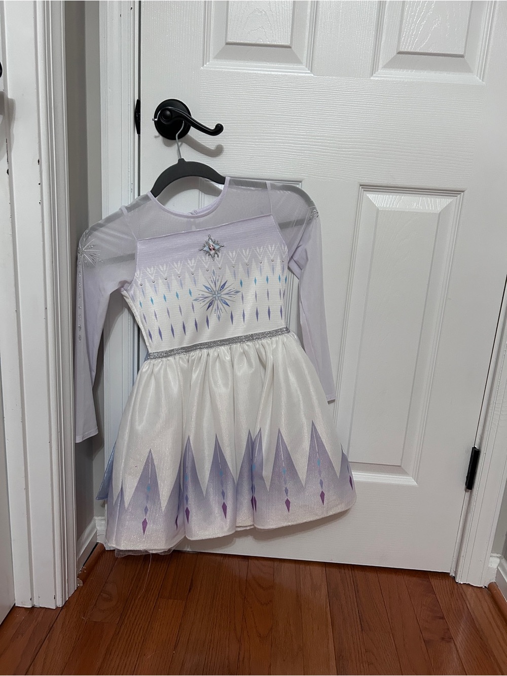 Disney Elsa princess dress/costume.